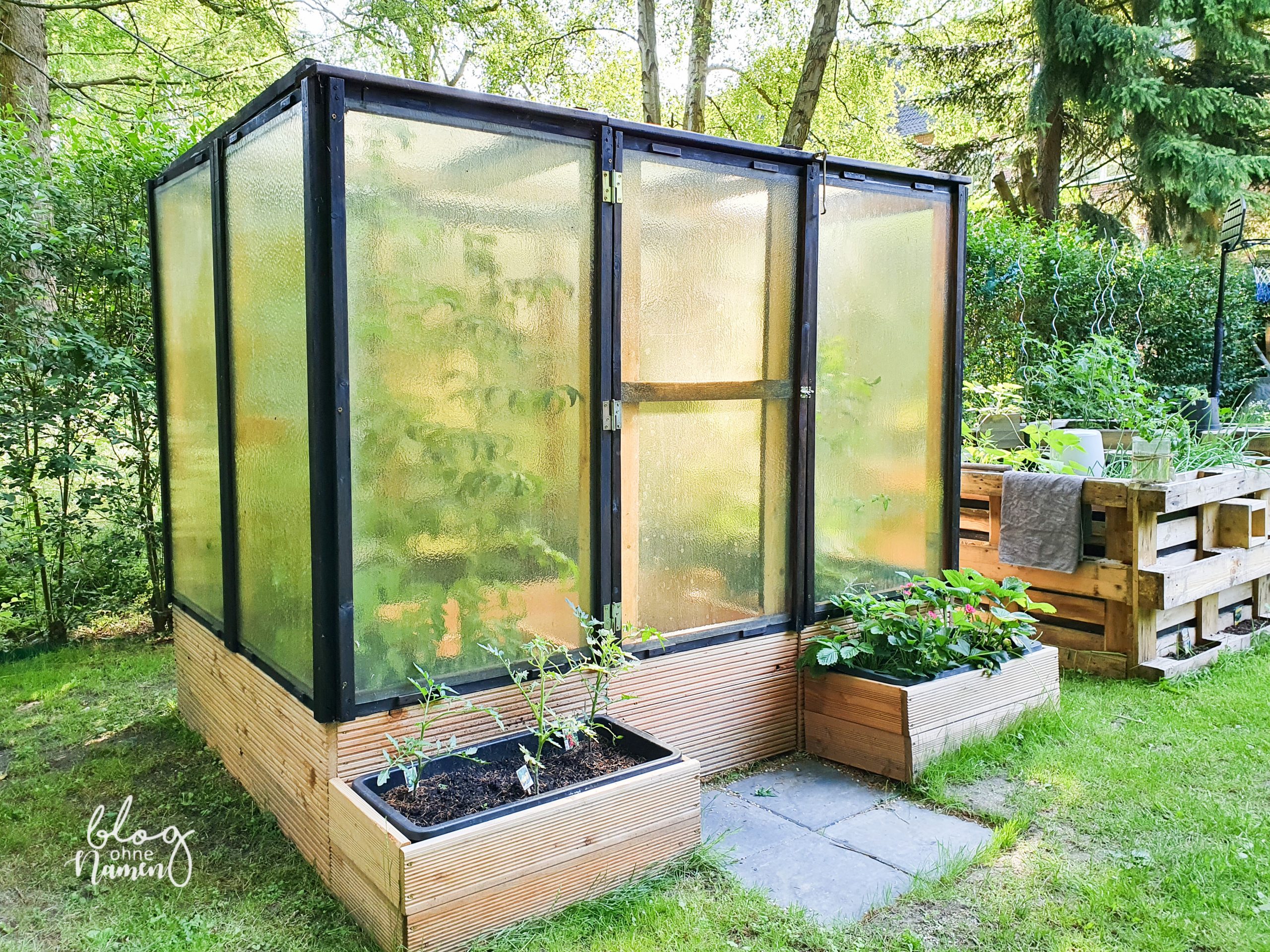 Upcycling: DIY Gewchshaus aus alten Fenstern bauen