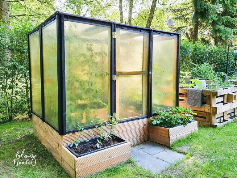 Ein Gewächshaus aus alten Fenstern