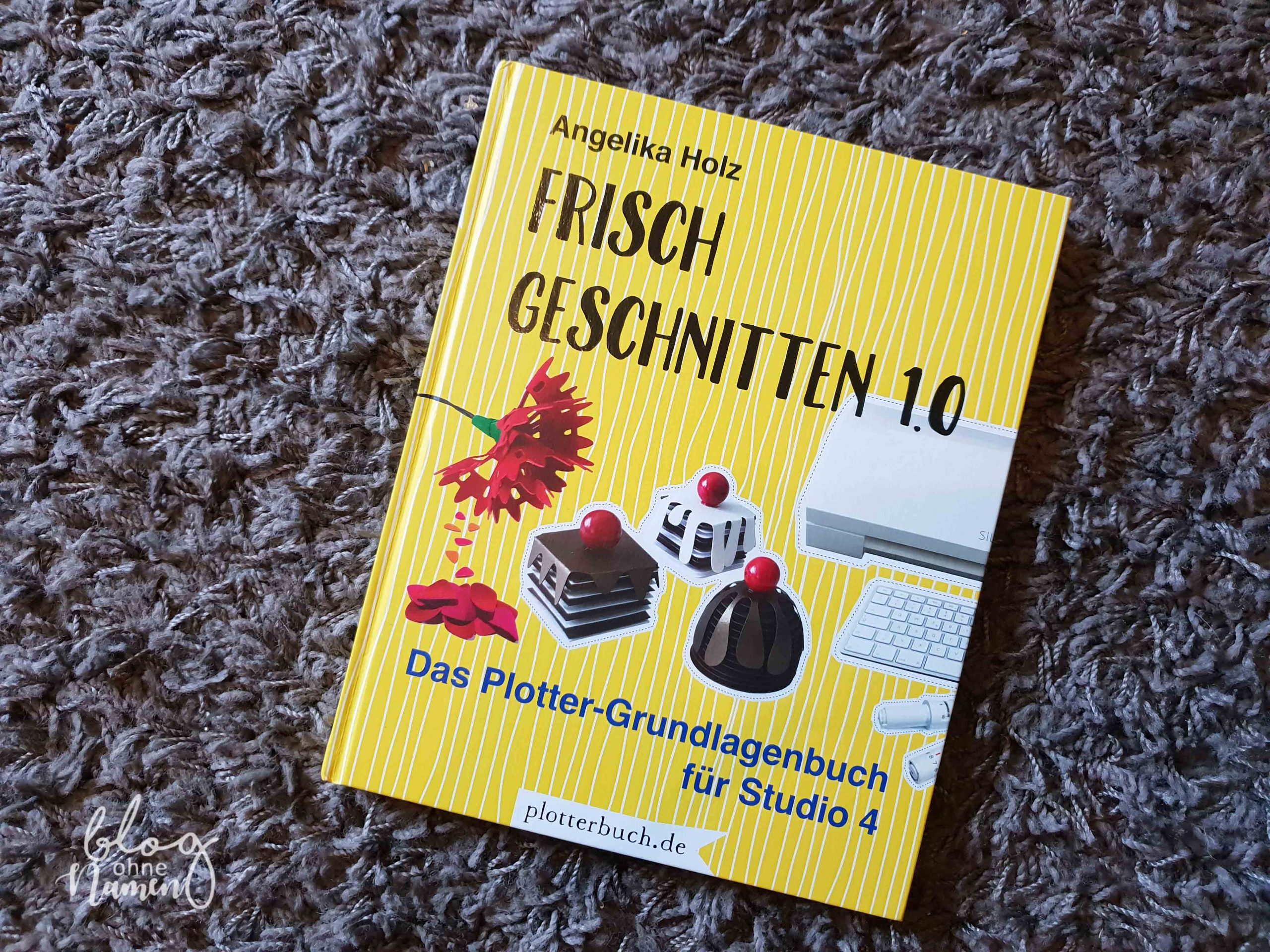 Frisch Geschnitten 1.0“ im Überblick: Inhalt, Aufbau und persönliche Einschätzung zum Plotter Grundlagenbuch für Studio 4.